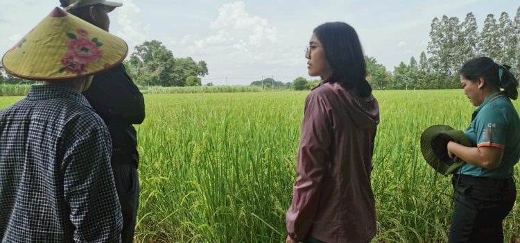 วันที่ 5 มิถุนายน 2568 ลงพื้นที่ตรวจสอบข้อร้องเรียนพื้นที่ปลูกข้าวนาปรังบริเวณตามแนวมอเตอร์เวย์ ตำบลสนามแย้ อำเภอท่ามะกา จังหวัดกาญจนบุรี