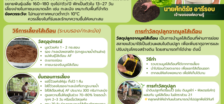 การผลิตวัสดุปลูกจากมูลไส้เดือน ลดต้นทุน เพิ่มผลผลิต พิชิตความยั่งยืน!