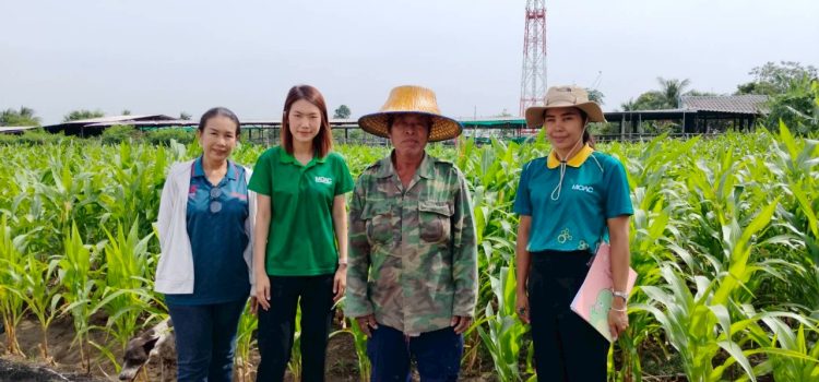 วันที่ 6 สิงหาคม 2568 ติดตามเกษตรกรหลังเข้าร่วมโครงการส่งเสริมการจัดการสุขภาพพืชเพื่อเพิ่มประสิทธิภาพการผลิตสินค้าเกษตรระดับจังหวัด ณ หมู่ที่ 8 ตำบลยางม่วง อำเภอท่ามะกา จังหวัดกาญจนบุรี