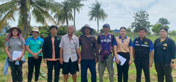 วันที่ 7 สิงหาคม 2568 เข้าร่วมตรวจสอบแปลงปลูกมันสำปะหลังโรงงานสำหรับเป็นแปลงทดลองสารเคมีให้กับบริษัทเอกชน ในพื้นที่หมู่ 9 ตำบลพระแท่น อำเภอท่ามะกา จังหวัดกาญจนบุรี