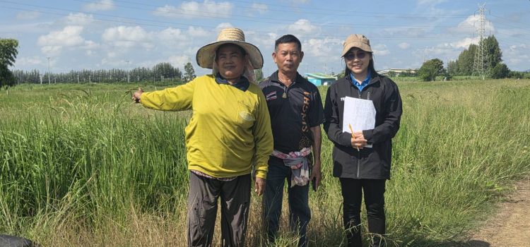 วันที่ 15 ตุลาคม 2568 ตรวจสอบแปลงเพาะปลูกข้าวนาปี ตำบลตะคร้ำเอน อำเภอท่ามะกา จังหวัดกาญจนบุรี