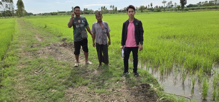 วันที่ 7 ตุลาคม 2568 ตรวจสอบพื้นที่ปลูกข้าวนาปี 2568/2569 ตำบลหนองลาน อำเภอท่ามะกา จังหวัดกาญจนบุรี วันที่ 7 ตุลาคม 2568 ตรวจสอบพื้นที่ปลูกข้าวนาปี 2568/2569 ตำบลหนองลาน อำเภอท่ามะกา จังหวัดกาญจนบุรี