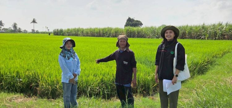 วันที่ 21 ตุลาคม 2568 ตรวจสอบพื้นที่ปลูกข้าวนาปี 2568/2569 ตำบลสนามแย้ อำเภอท่ามะกา จังหวัดกาญจนบุรี วันที่ 21 ตุลาคม 2568 ตรวจสอบพื้นที่ปลูกข้าวนาปี 2568/2569 ตำบลสนามแย้ อำเภอท่ามะกา จังหวัดกาญจนบุรี