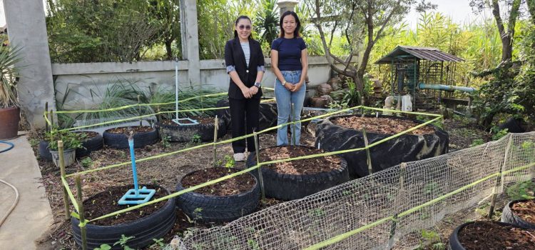 วันที่ 28 พฤศจิกายน 2568 เยี่ยมเยียนและติดตามการดำเนินงานของ YSF ตำบลตะคร้ำเอน อำเภอท่ามะกา จังหวัดกาญจนบุรี วันที่ 28 พฤศจิกายน 2568 เยี่ยมเยียนและติดตามการดำเนินงานของ YSF ตำบลตะคร้ำเอน อำเภอท่ามะกา จังหวัดกาญจนบุรี