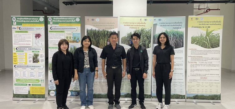 วันที่ 4 ธันวาคม 2568 เข้าร่วมฟังการบรรยายพิเศษในการประชุมอ้อยและน้ำตาลทราย มหาวิทยาลัยเกษตรศาสตร์ วิทยาเขตกำแพงแสน วันที่ 4 ธันวาคม 2568 เข้าร่วมฟังการบรรยายพิเศษในการประชุมอ้อยและน้ำตาลทราย มหาวิทยาลัยเกษตรศาสตร์ วิทยาเขตกำแพงแสน