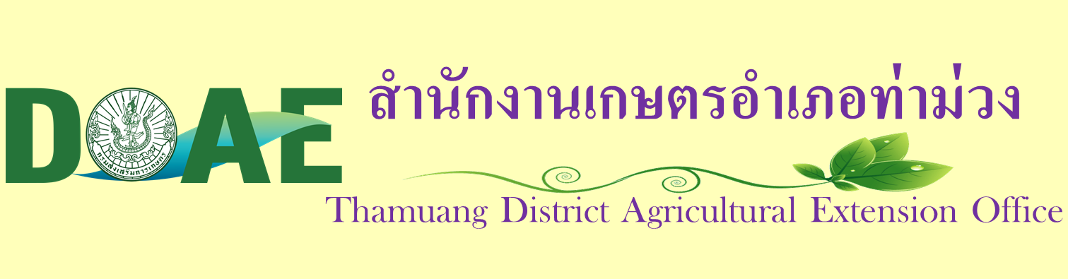 สำนักงานเกษตรอำเภอท่าม่วง   Thamuang District Agricultural Extension Office