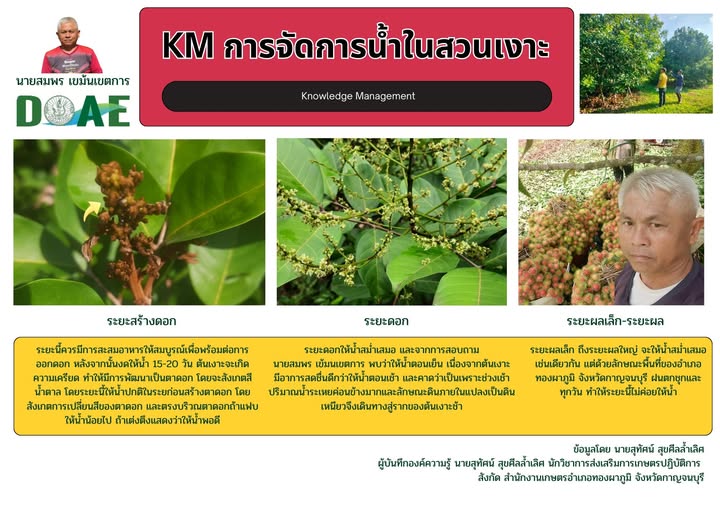 เกษตรทองผาภูมิ นำเสนอ KM การจัดการน้ำในสวนเงาะ