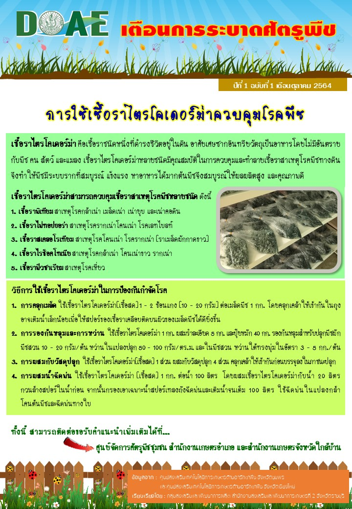 การใช้เชื้อราไตรโคเดอร์ม่าควบคุมโรคพืช